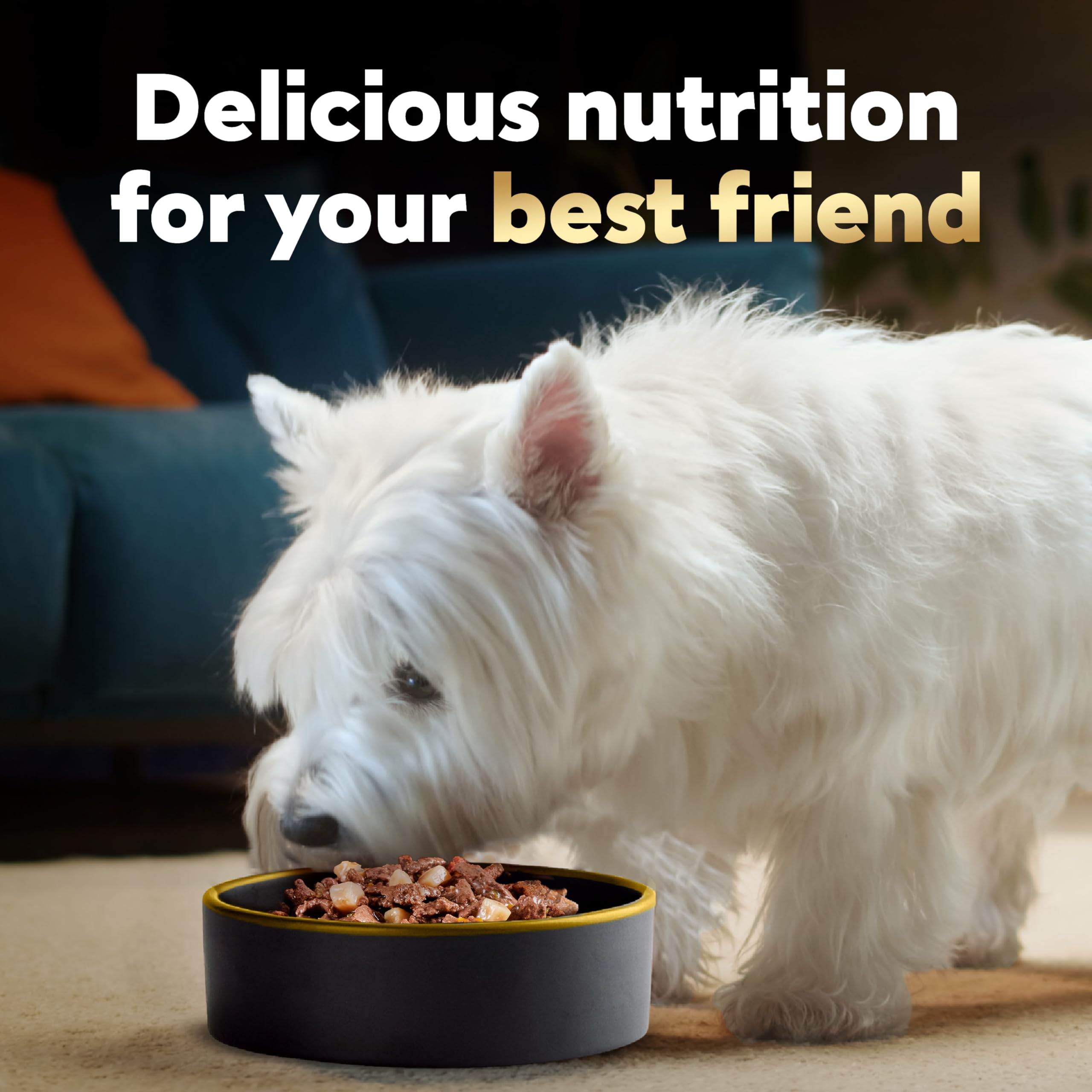 Cesar Home Delights Cena en Salsa, ideal para perros adultos.
