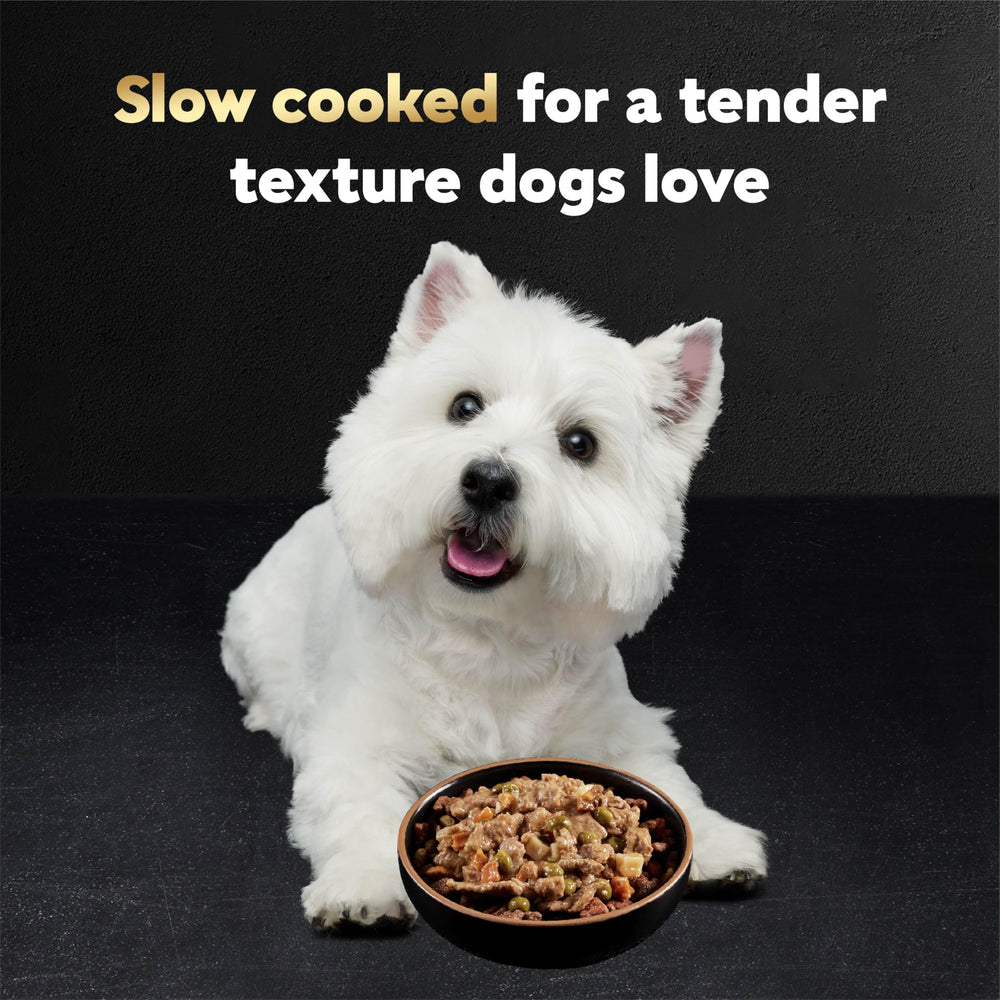 Textura suave de César Home Delights, fácil de masticar para perros