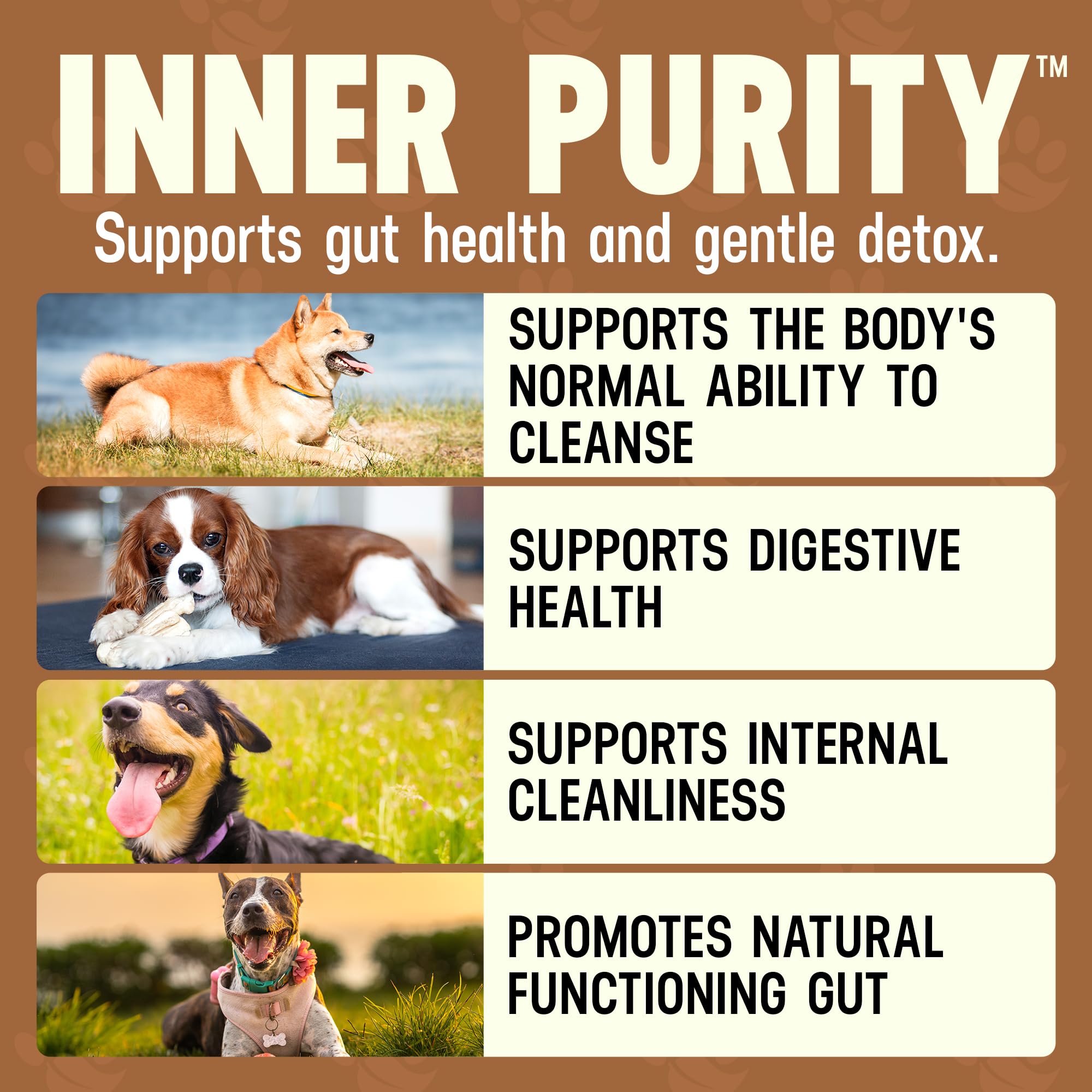 Mezcla de hierbas de Inner Purity para un apoyo digestivo natural.