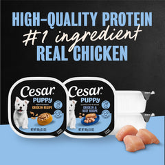 Cesar para cachorros: bandeja pelado fácil filetes jugosos, ideal para comidas diarias.