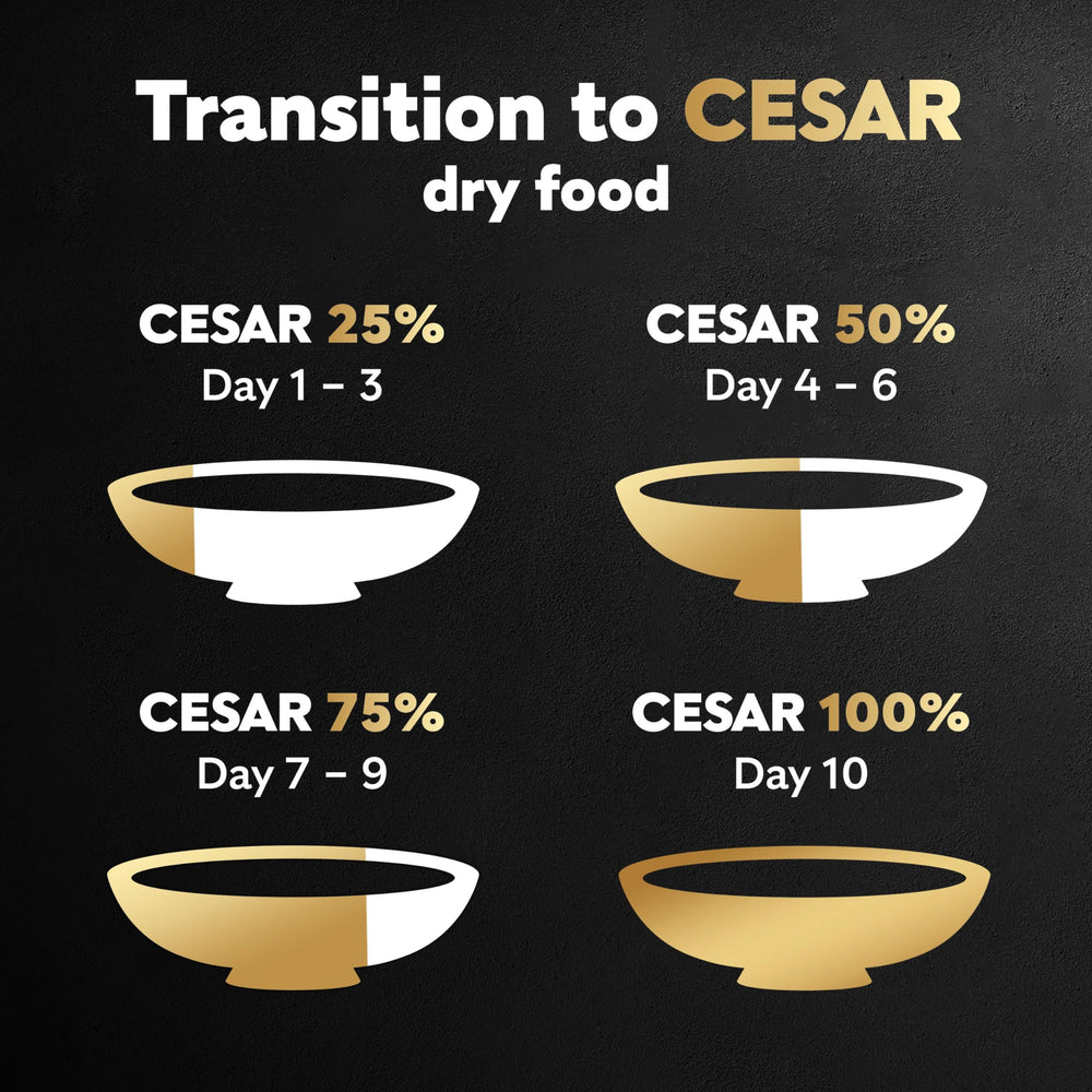 Cesar Prevención de placa dental: croquetas crujientes para la limpieza.