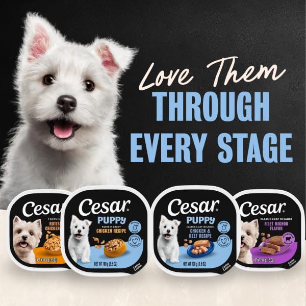 Cesar Puppy Filets en Gravy, fabricado en Estados Unidos con calidad.