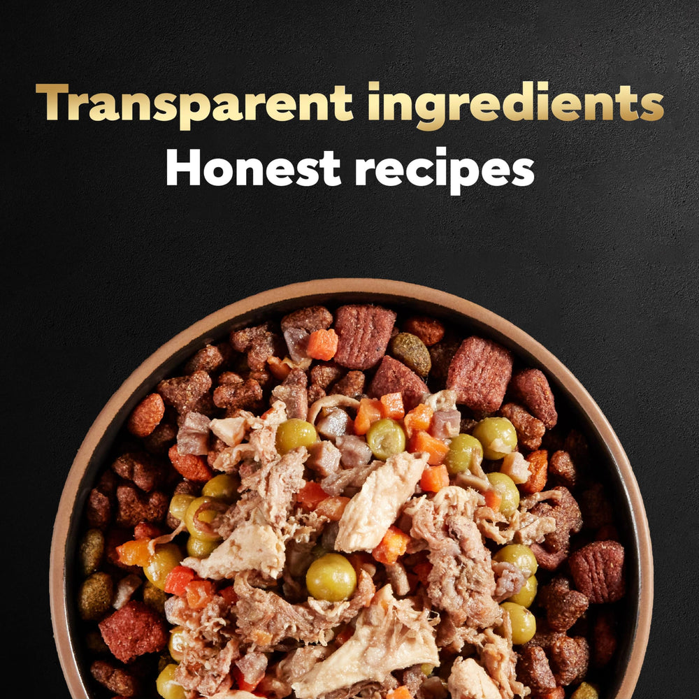 Mezcla con comida seca con Cesar Simply Crafted para mejorar la experiencia diaria