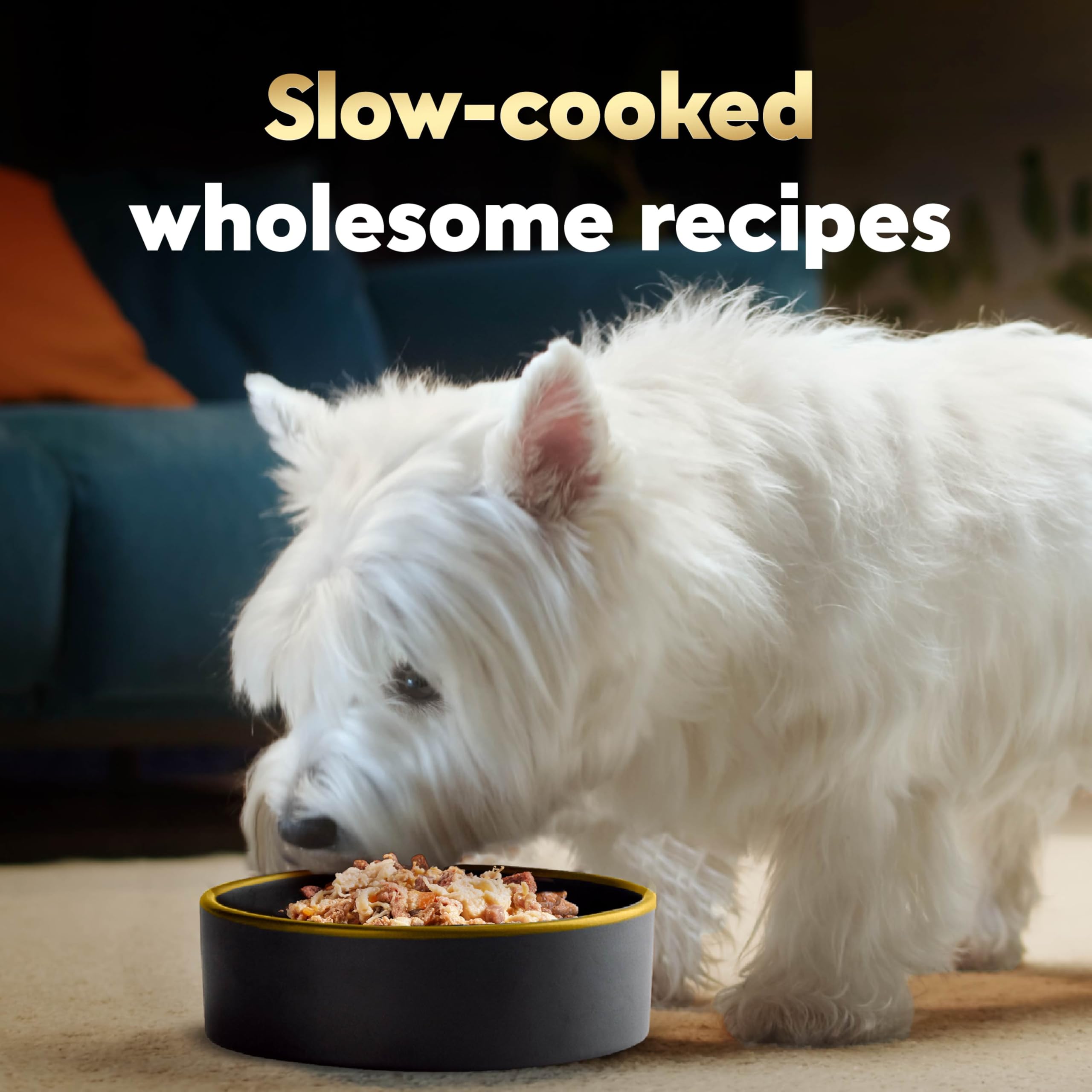 Cesar Wholesome Bowls: detalle de pollo y res en una ración sabrosa.