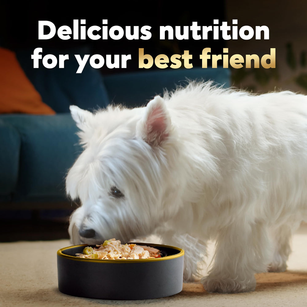 Cesar Wholesome Bowls sabor pollo, batata y judías verdes para gusto del perro.