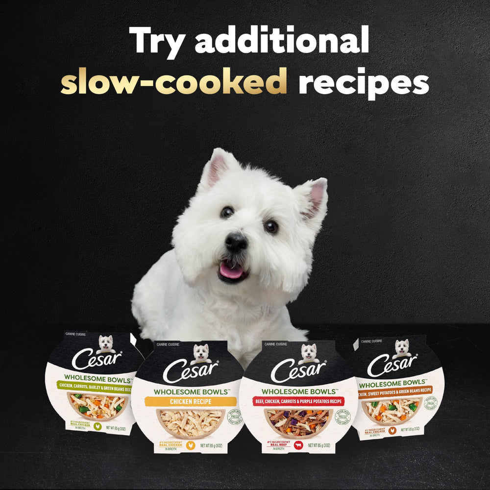 Cesar Wholesome Bowls servir sobre kibble: complemento sabroso para la comida
