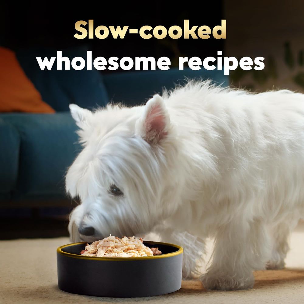 Cesar Wholesome Bowls: ingredientes naturales sin subproductos para perros adultos.