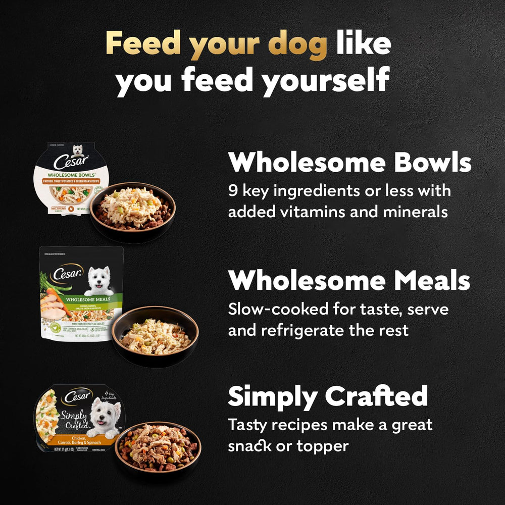 Cesar Wholesome Bowls: textura suave, fácil de digerir para perros adultos.