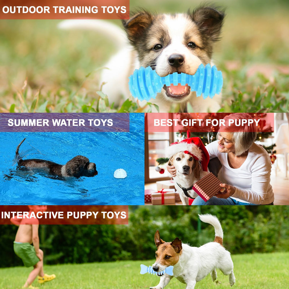 Regalo para perros CGBD: entretenimiento y diversión.