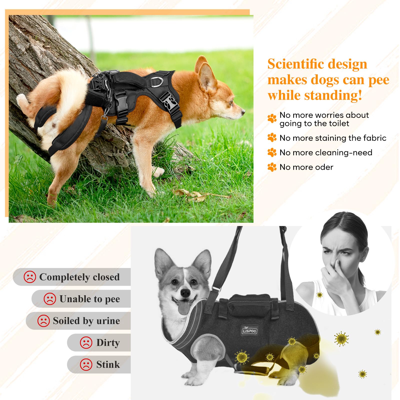ChalkLit arnés elevación para perros: vista trasera, soporte estable para la espalda.