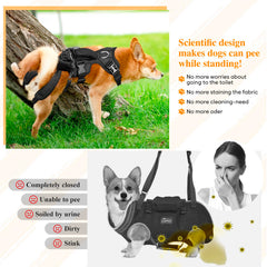 ChalkLit arnés elevación para perros: vista trasera, soporte estable para la espalda.