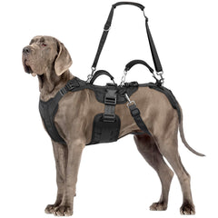 ChalkLit arnés elevación para perros: vista frontal, diseño ergonómico y control al levantar.