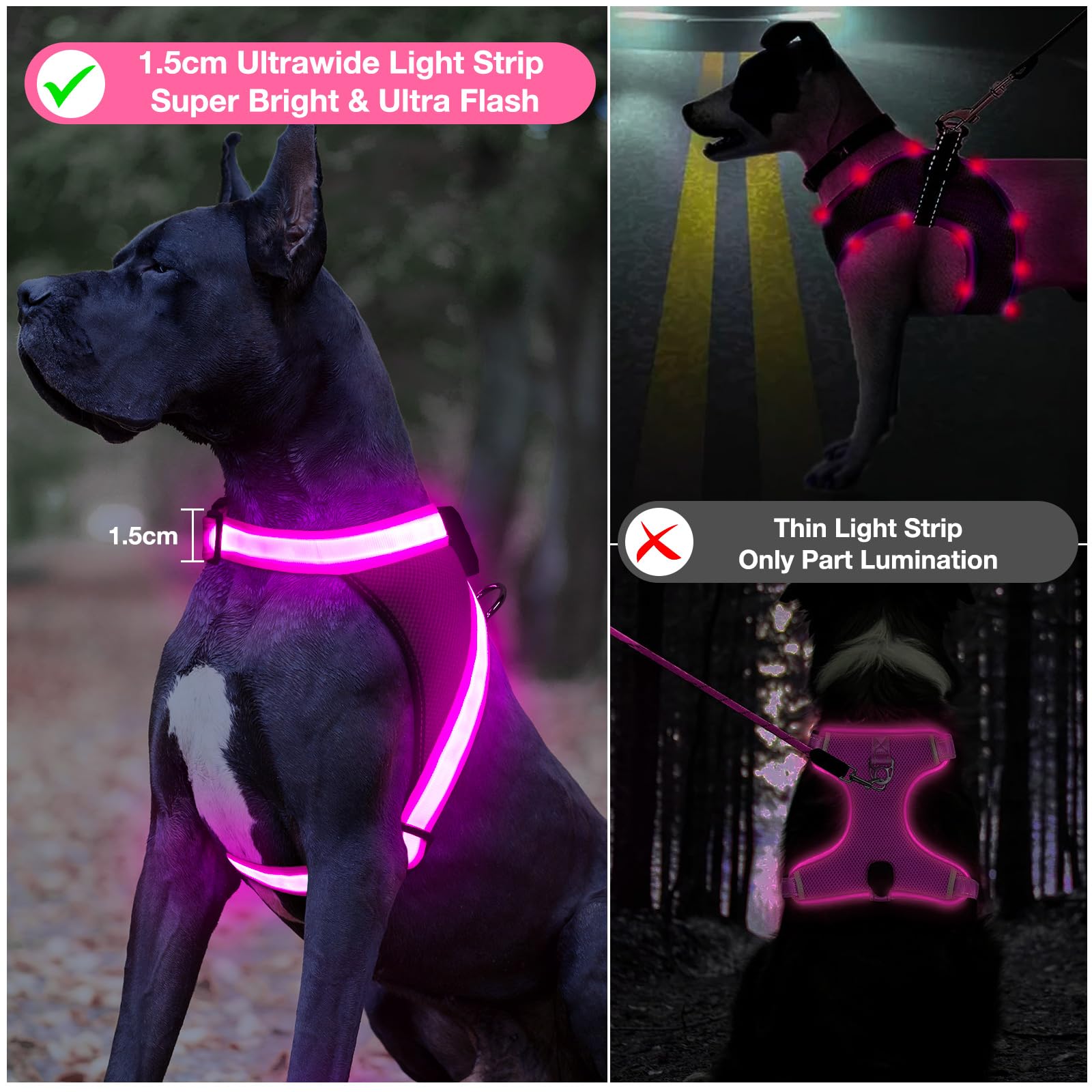 ChalkLit arnés luz para perros con ajuste rápido para calce perfecto.