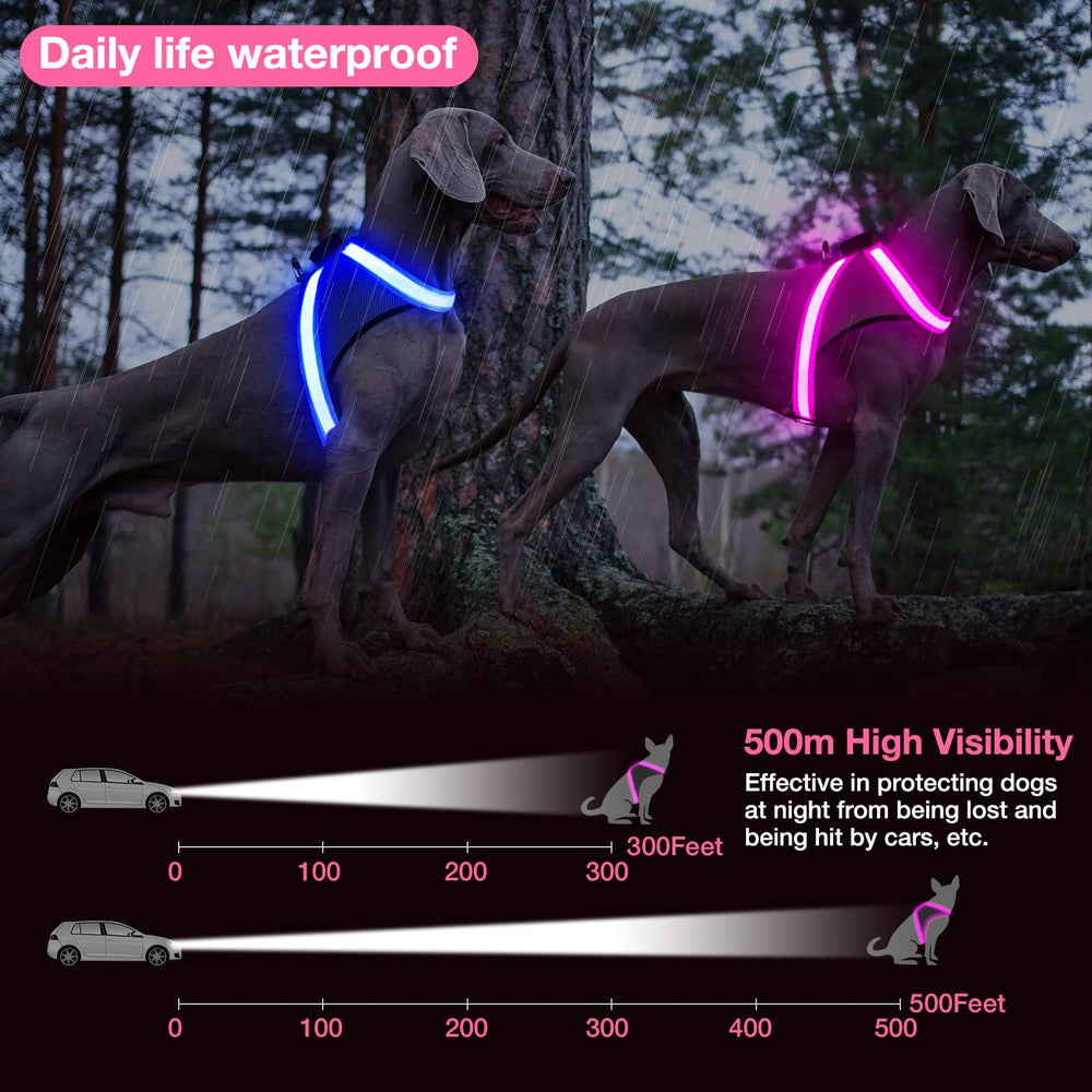 ChalkLit arnés luz para perros hebilla en D para control sencillo.