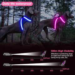 ChalkLit arnés luz para perros hebilla en D para control sencillo.