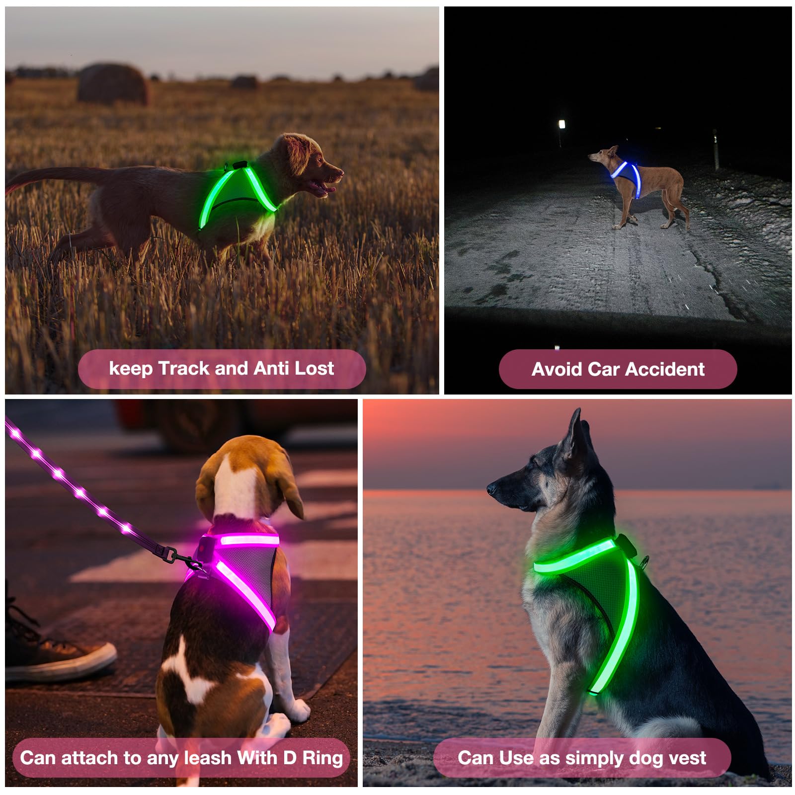 ChalkLit arnés luz para perros visibilidad diaria para paseos nocturnos.
