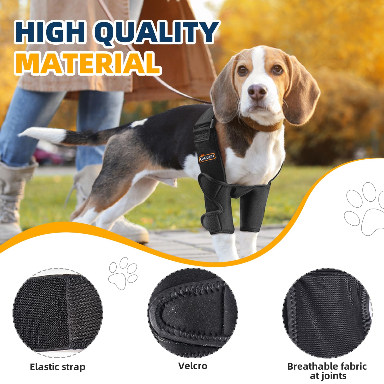 CHAMIN codo perro: diseño veterinario para seguridad y durabilidad