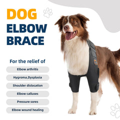 CHAMIN protector codo perro: confort y protección durante actividades