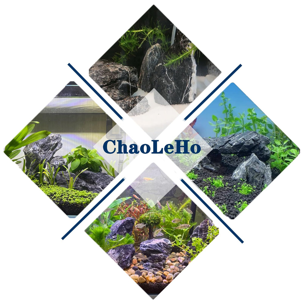 ChaoLeHo Seiryu: decoraciones para acuarios y ecosistemas acuáticos.