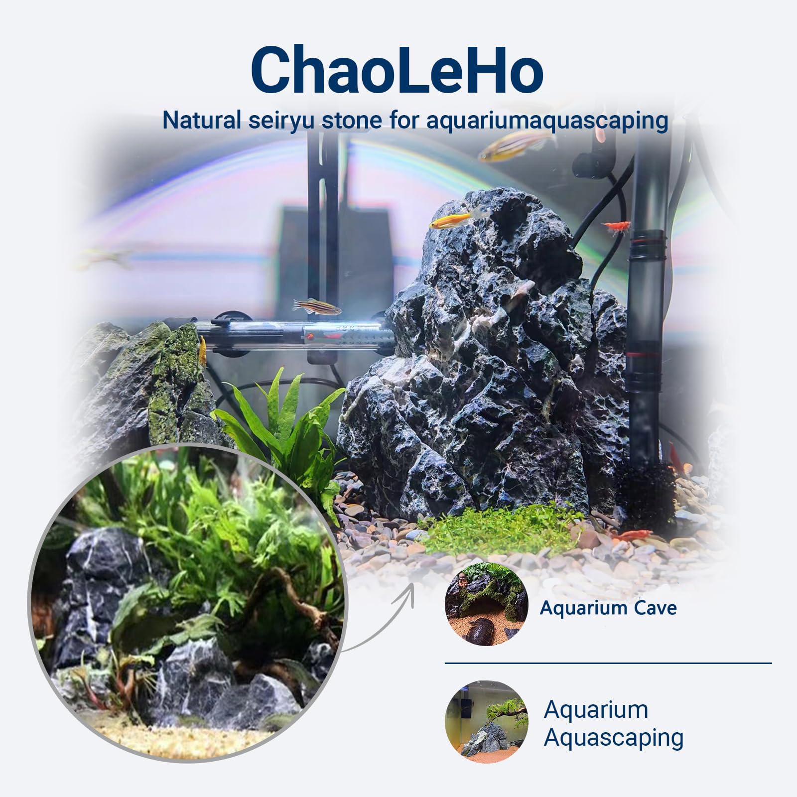 Seiryu de ChaoLeHo para acuario: decoración segura que no altera el agua.