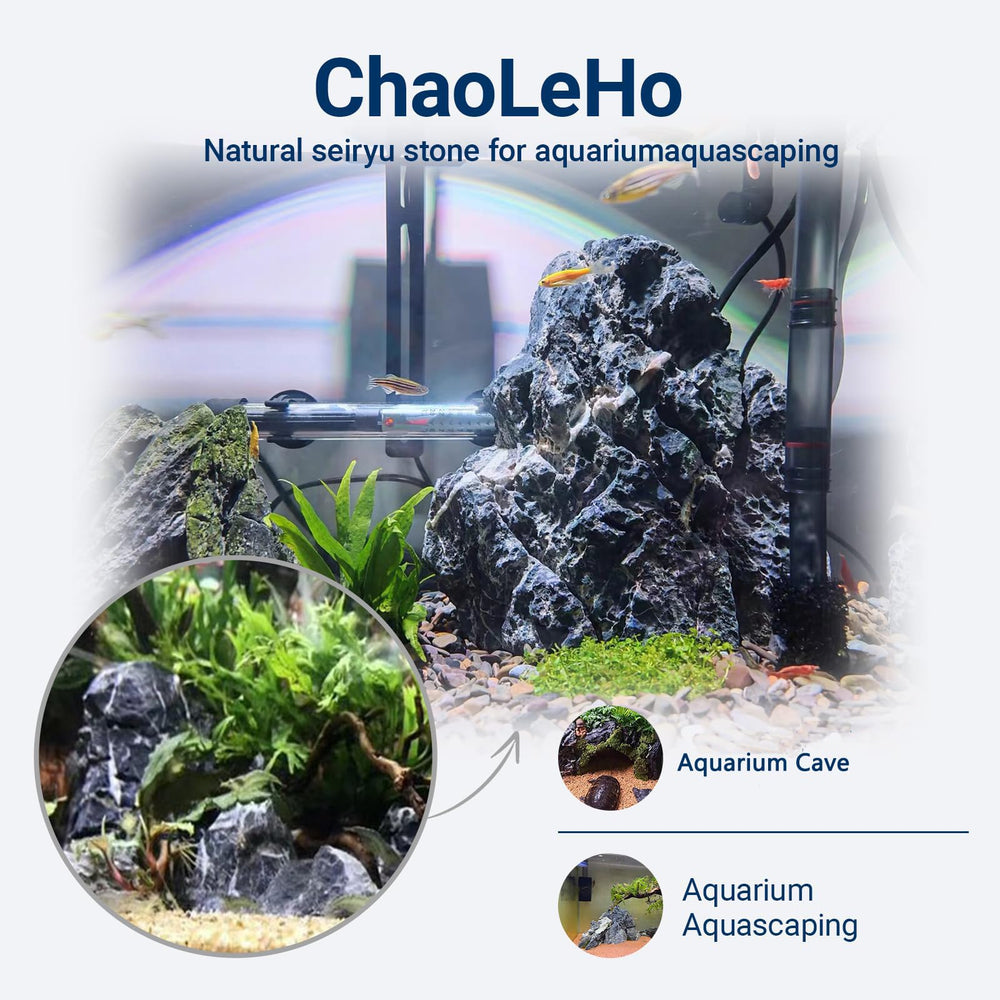 Seiryu de ChaoLeHo para acuario: decoración segura que no altera el agua.