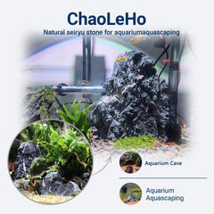 Seiryu de ChaoLeHo para acuario: decoración segura que no altera el agua.