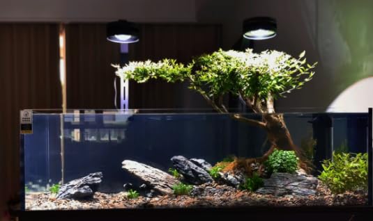 Piedra Seiryu de ChaoLeHo: fácil limpieza y mantenimiento del acuario.