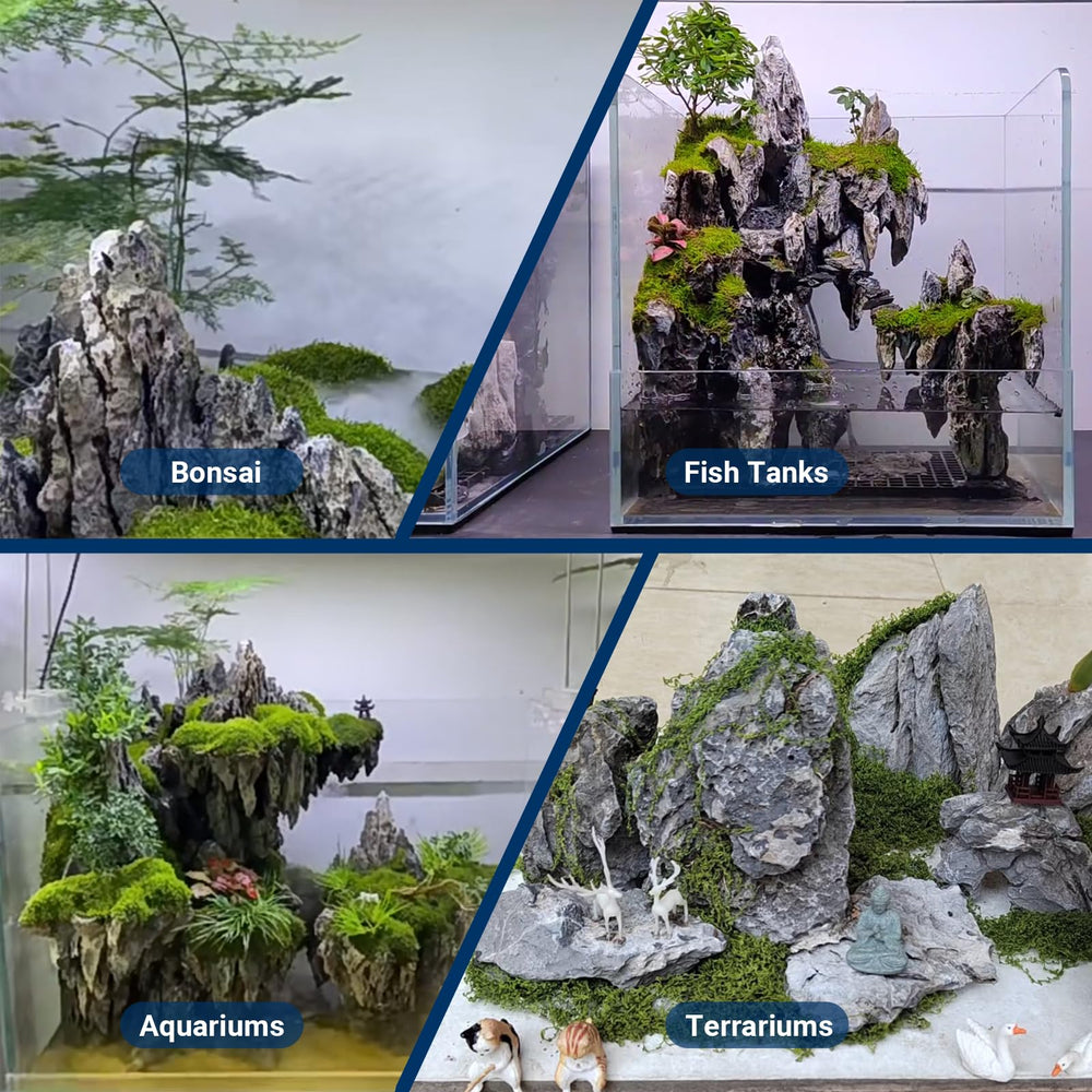 ChaoLeHo Seiryu: piedra de patrón único para aquascaping.