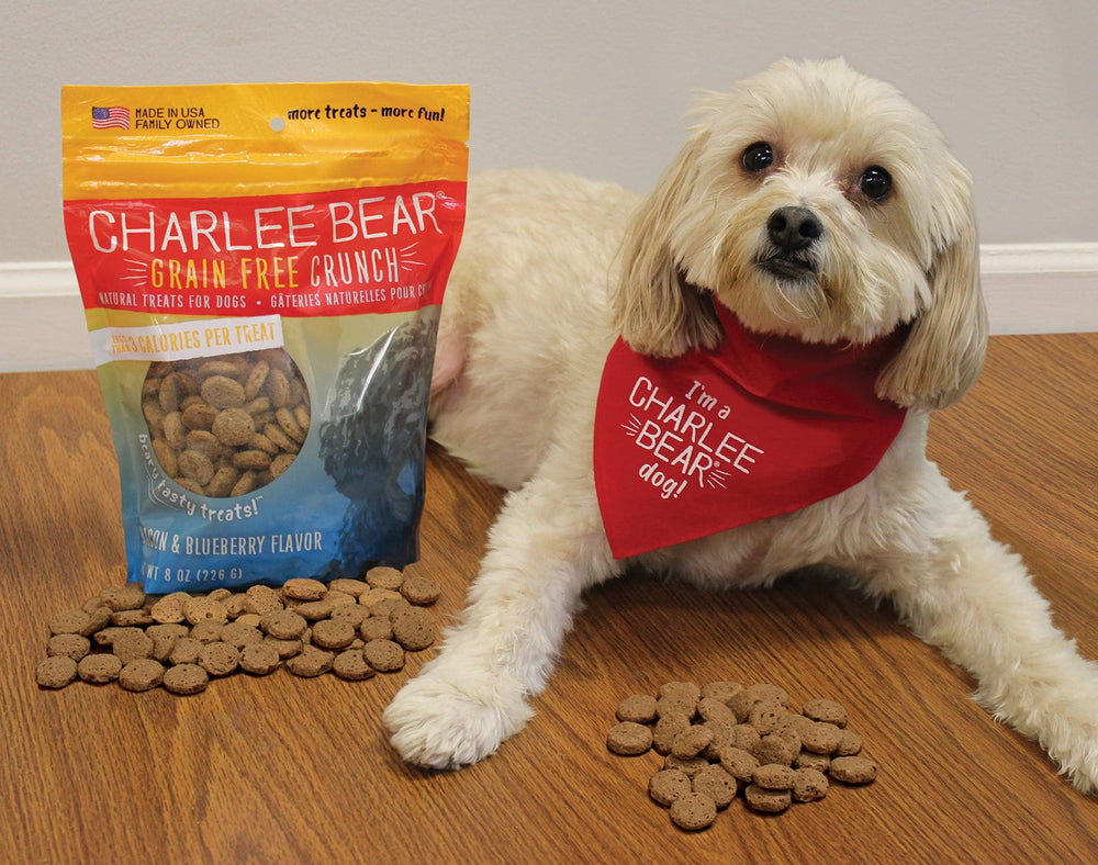 Sabor bacon-arandano de Charlee Bear, premio delicioso para reconocimiento en casa.
