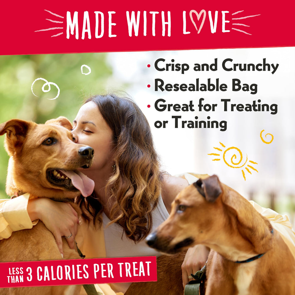 Charlee Bear tamaño ideal para adiestramiento de perros de todas las edades