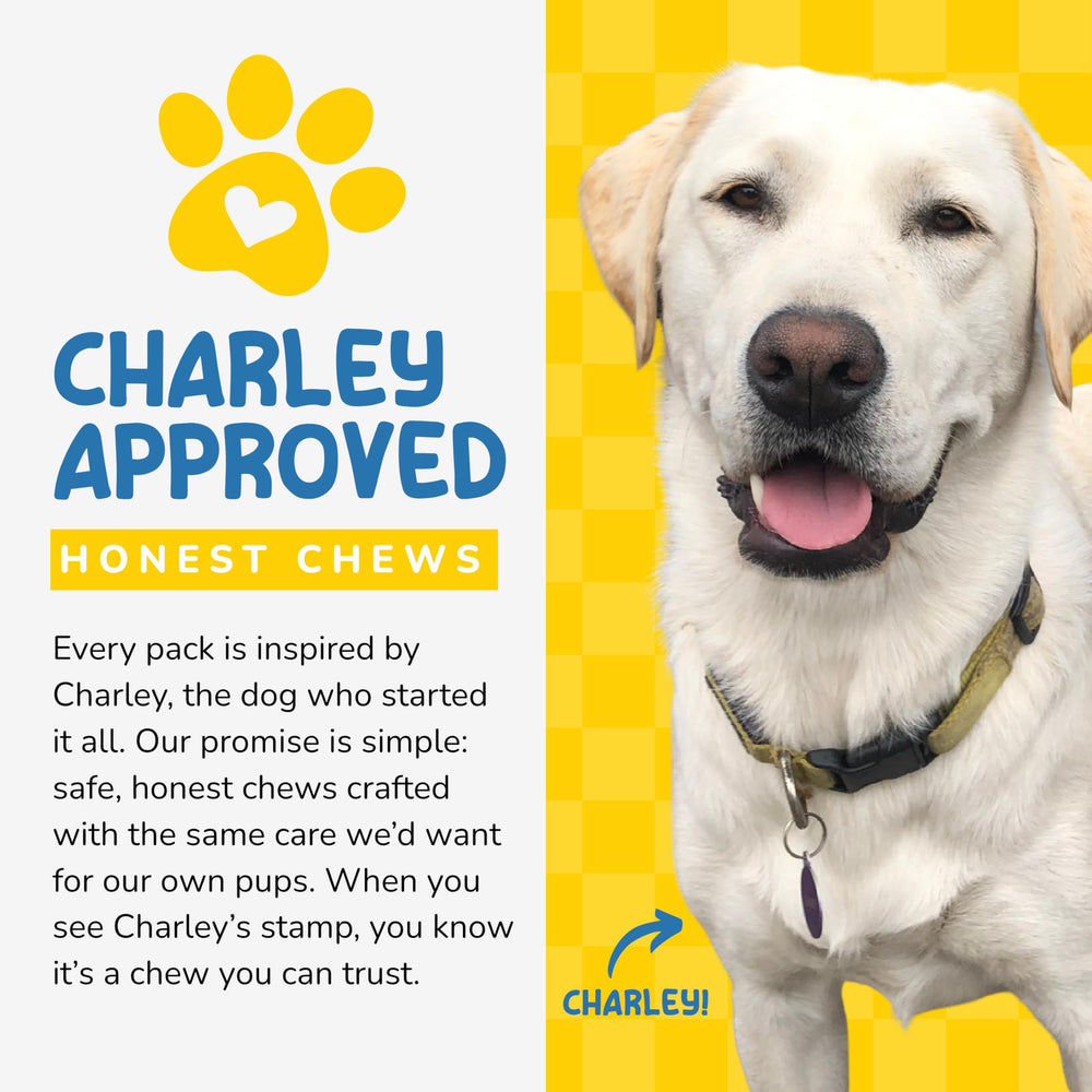 CHARLEY & ME palitos bully 100% natural, snack proteico