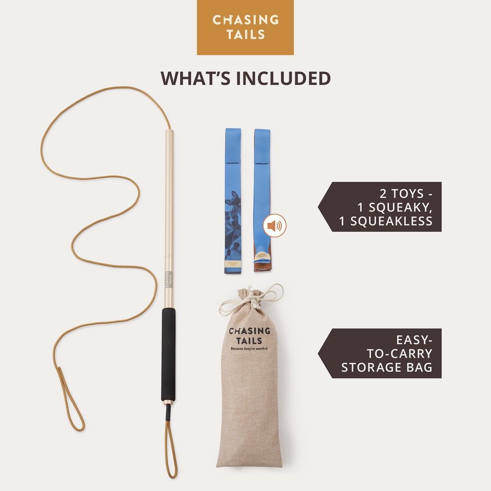 Chasing Tails Flirt Pole en aluminio resistente para uso diario y durabilidad.