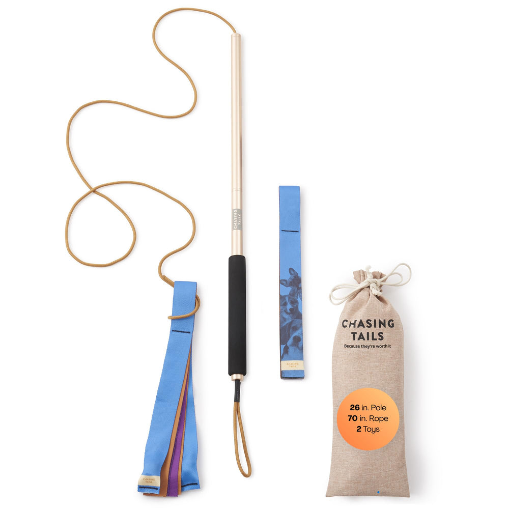 Chasing Tails Flirt Pole para perros pequeños ofrece 26 pulgadas de juego activo.