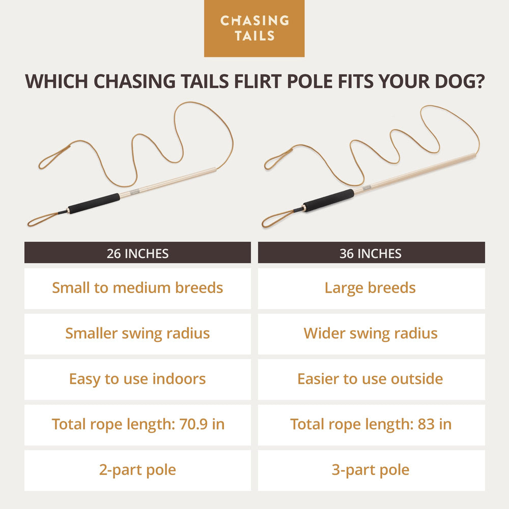 Chasing Tails Flirt Pole es ideal para razas pequeñas y medianas.