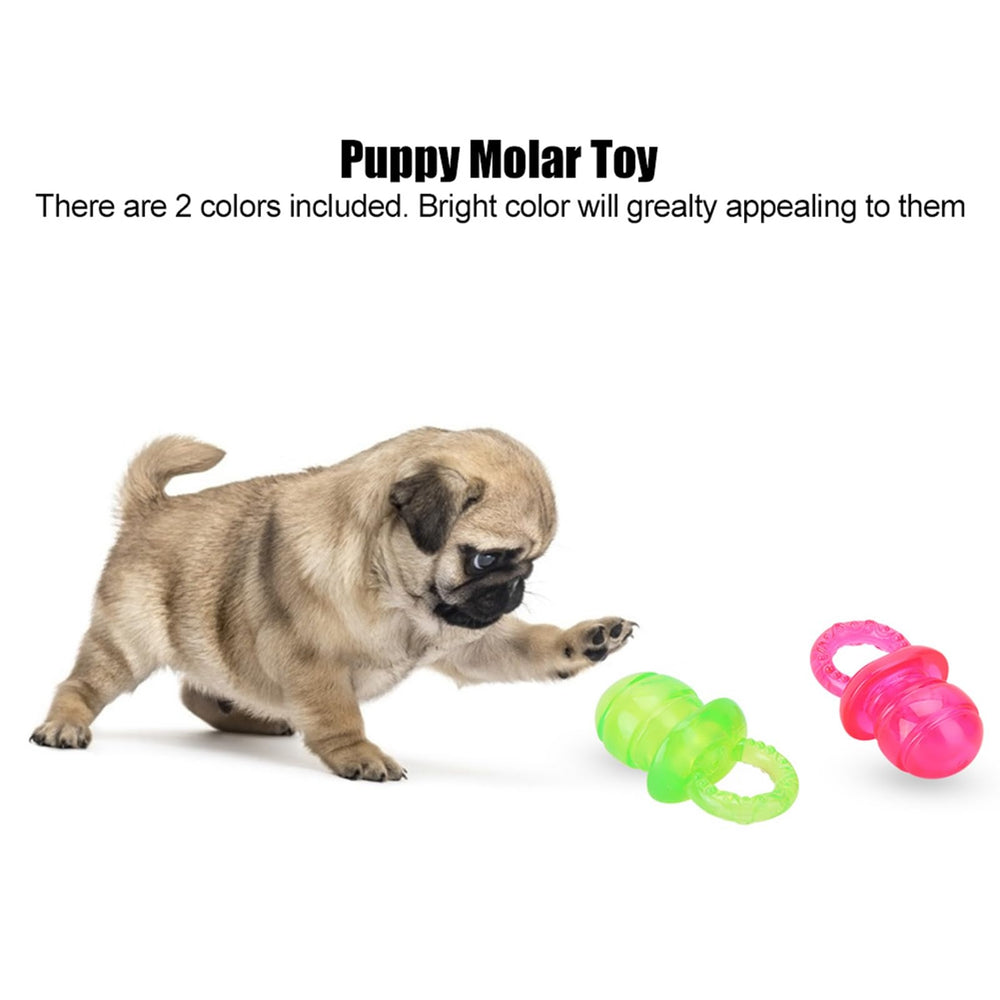 Chazcool juego interactivo con perros para combatir el aburrimiento.