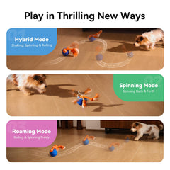 Cuerda interactiva de Cheerble Wicked Ball Rolly para juego dinámico y seguro