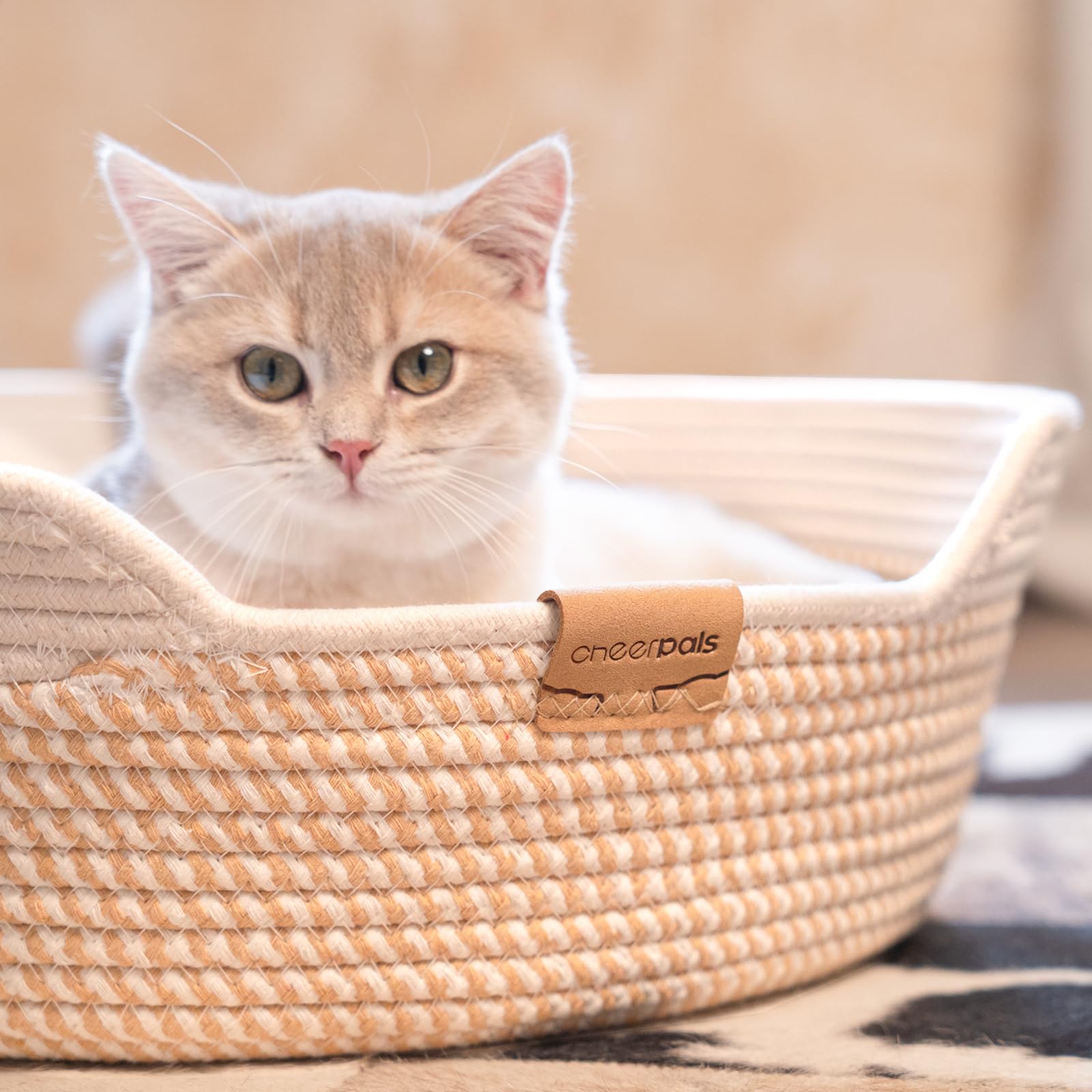 CHEERHOME PETS: uso todo el año, cama suave para gatos dentro de casa.