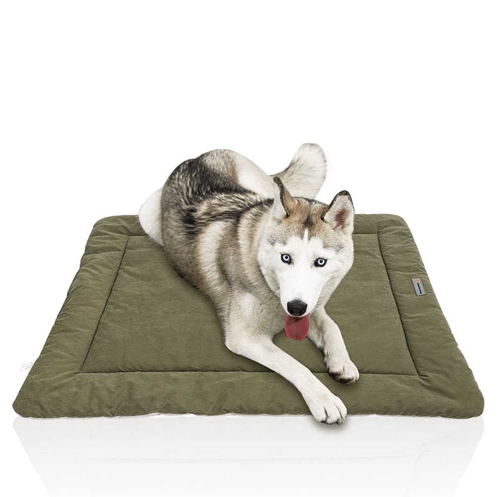 Cama CHEERHUNTING para perros: uso exterior, impermeable y fácil de limpiar.