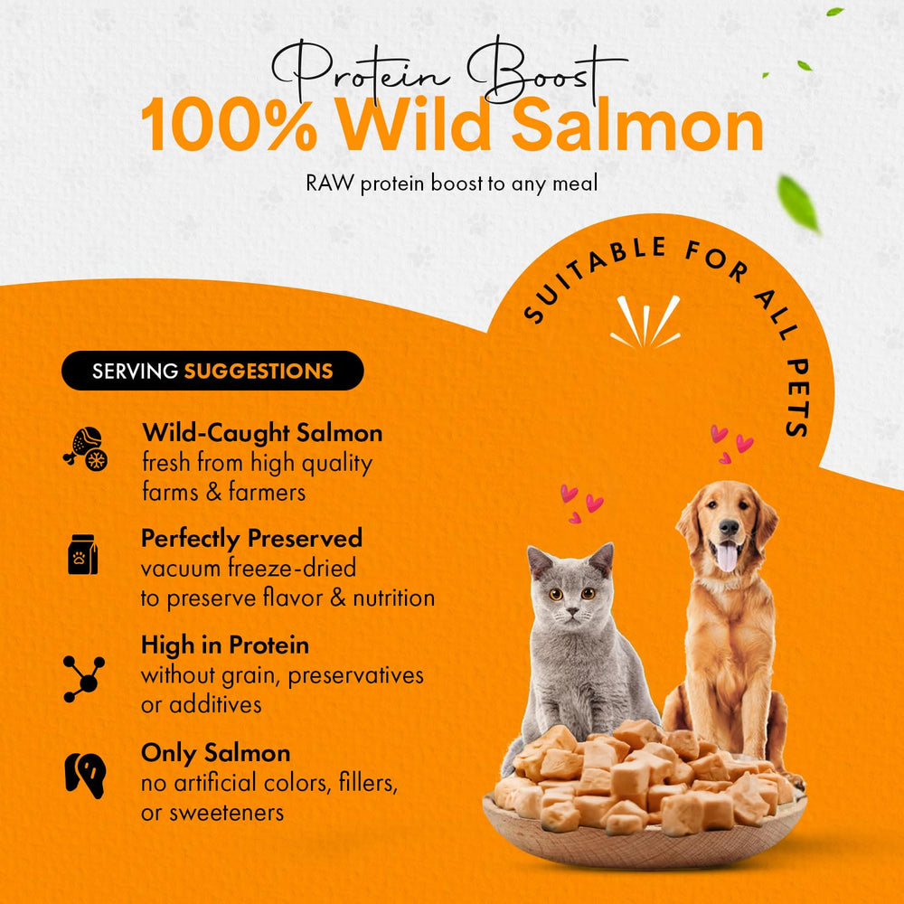 Chef Kitty ingrediente único de salmón, opción simple y natural.