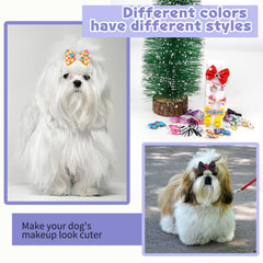 Lazo con patrones variados para perro Yorkshire, estilo versátil.