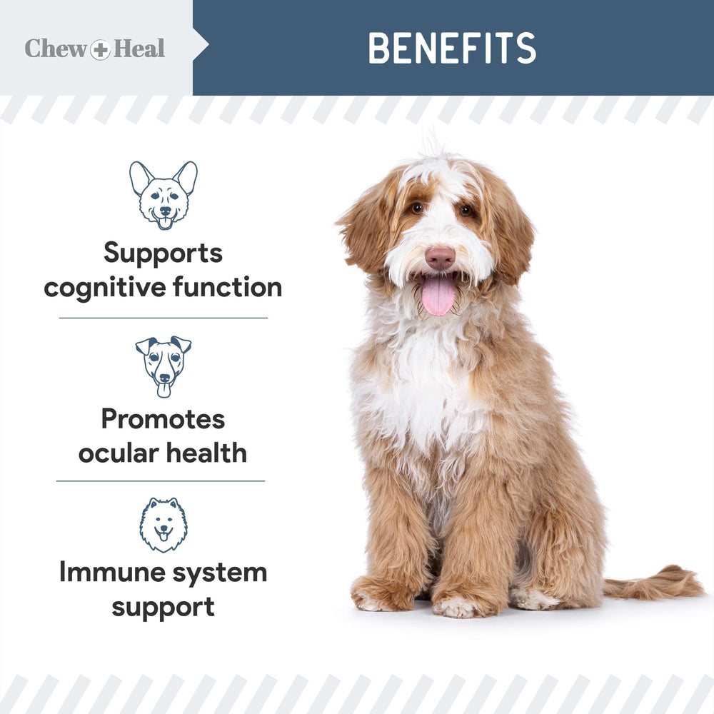 Chew + Heal Labs aceite de algas omega-3 para piel, pelaje y ojos.