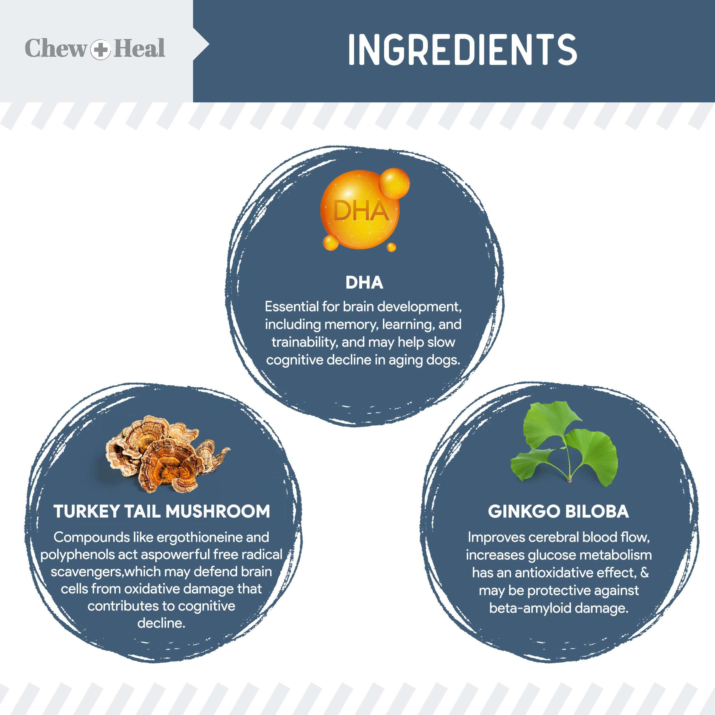 Chew + Heal Labs, sabrosos comprimidos masticables para perros mayores y fáciles de masticar.