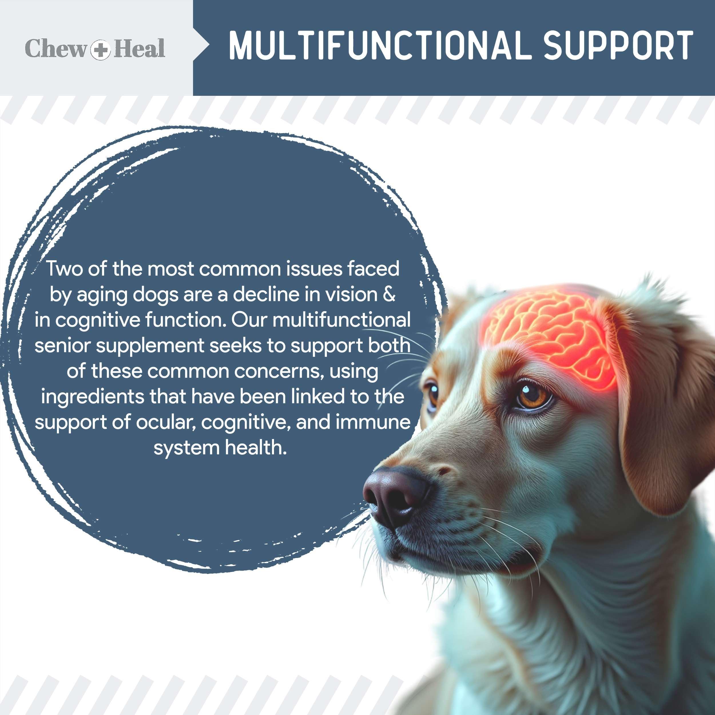 Chew + Heal Labs ginkgo biloba para salud cerebral y memoria.