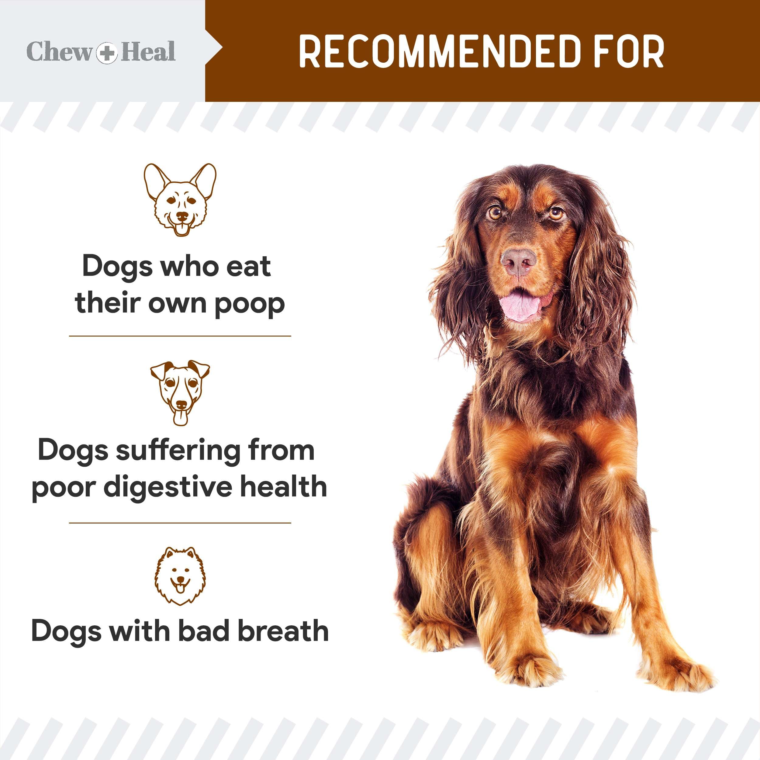 Chew + Heal Labs No Poo Chews con FOS y enzimas para el tracto digestivo.