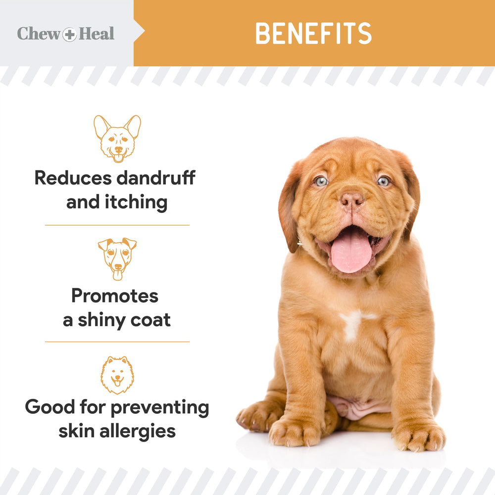 Chew + Heal Labs Omega-3 para perros, fórmula con prebióticos para digestión equilibrada.