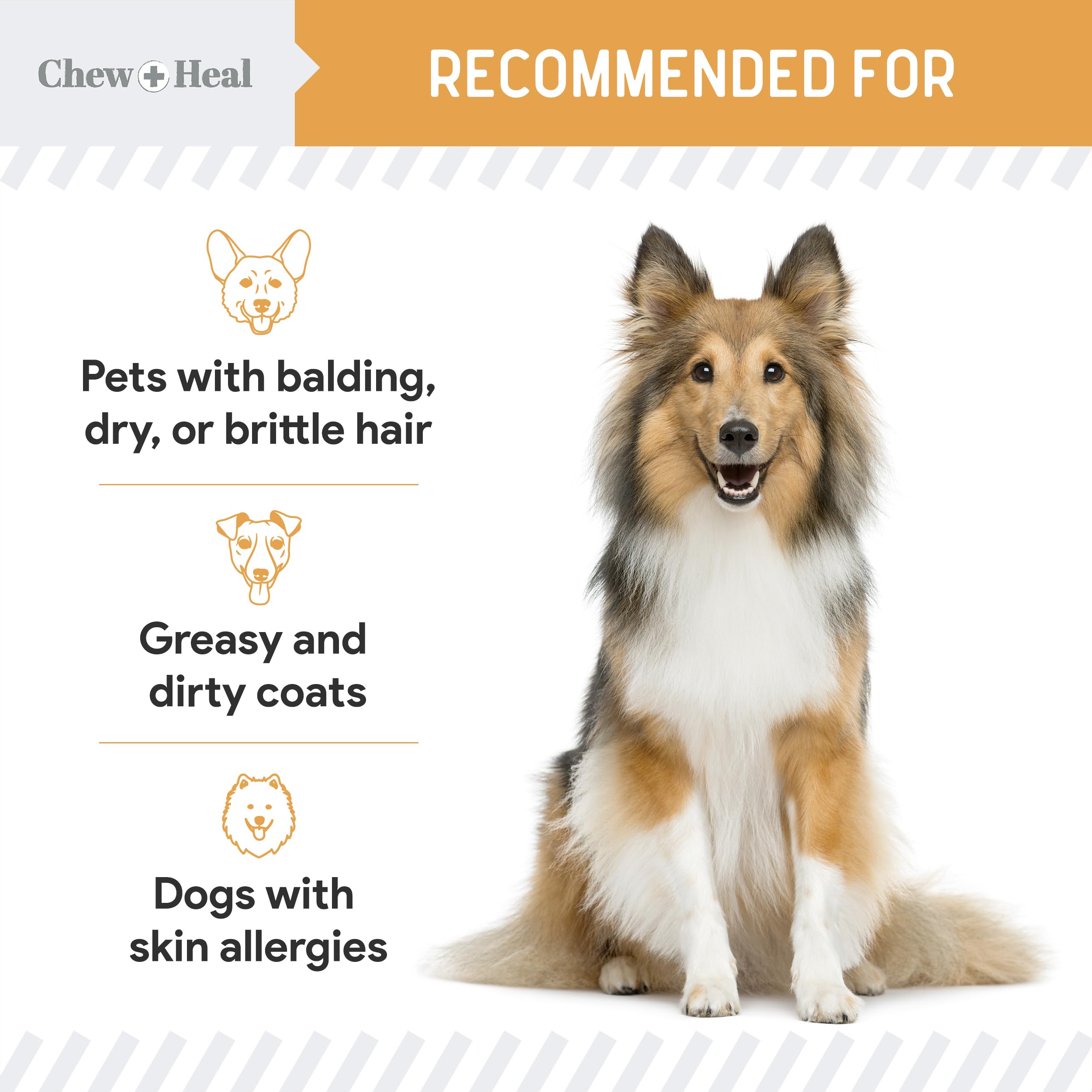 Chew + Heal Labs Omega-3 para perros, vitaminas y minerales para piel y uñas.