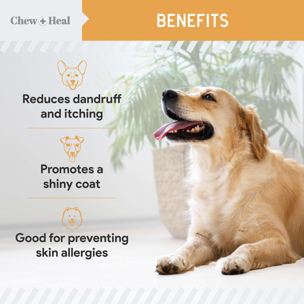 Verter contenido de omega-3 de Chew + Heal Labs en la comida del perro.