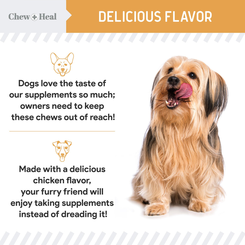 Chew + Heal Labs Omega-3 para perros, sabor agradable facilita la toma diaria.