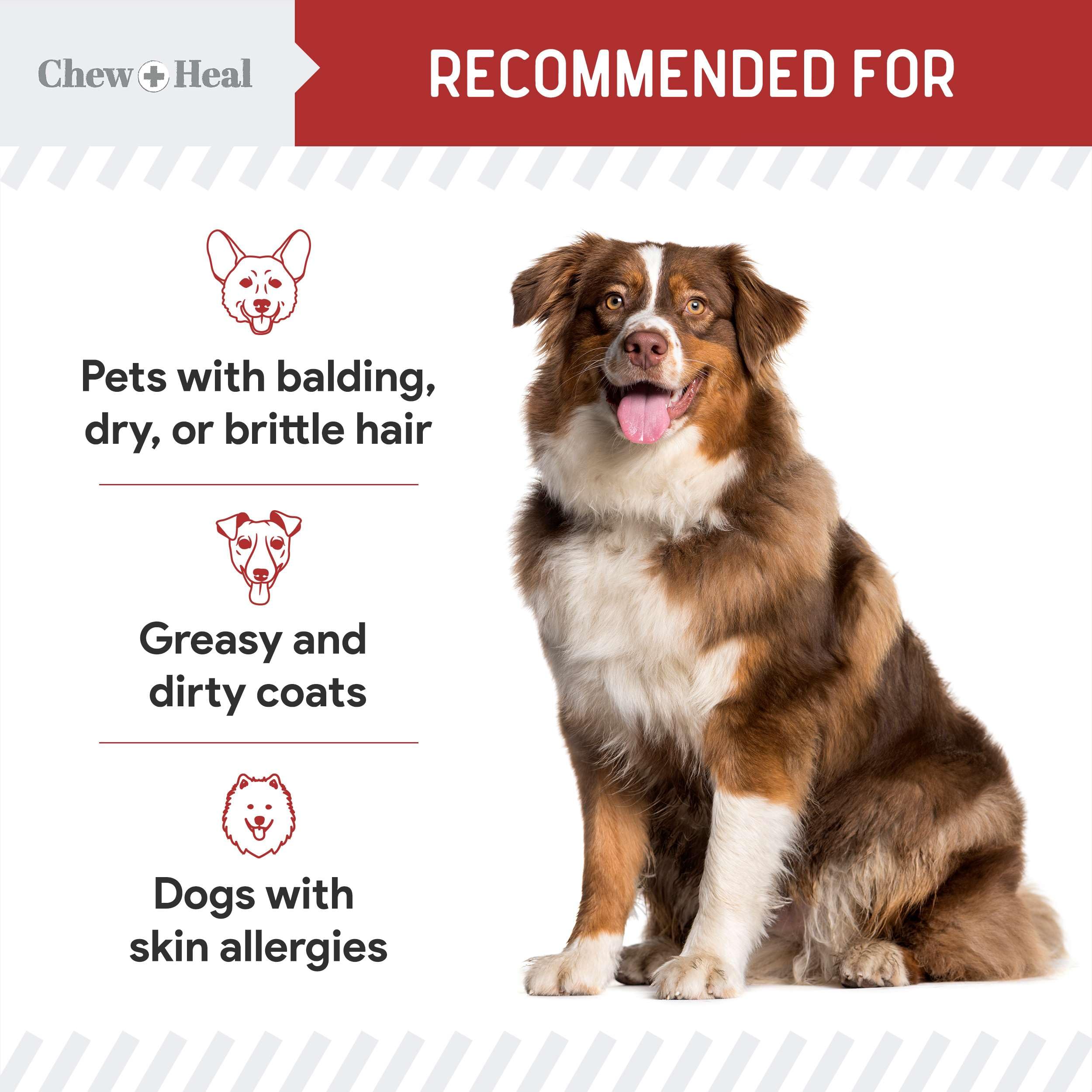 Chew + Heal Labs pelaje brillante y suave gracias a omega 3 y 6.