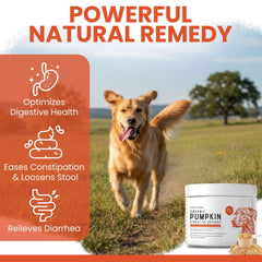 Polvo de calabaza con manzana y zanahoria para perros de Chew + Heal Labs